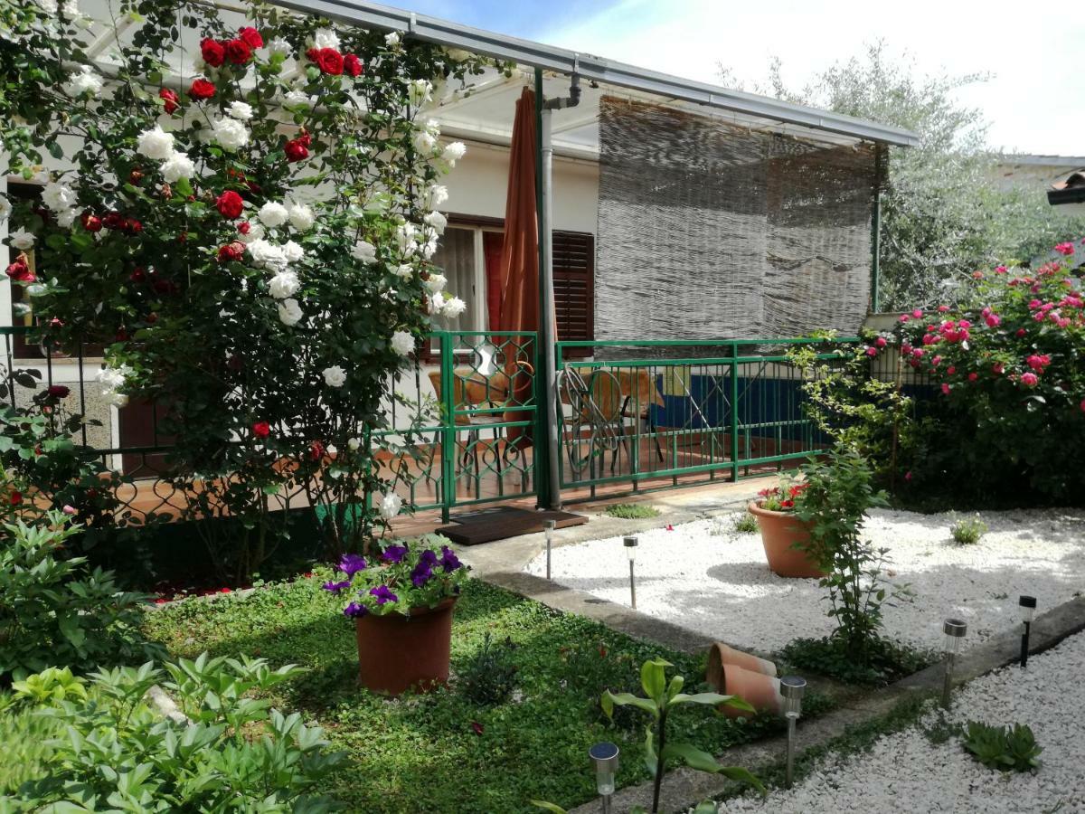 Apartmán Vile Park Studio *